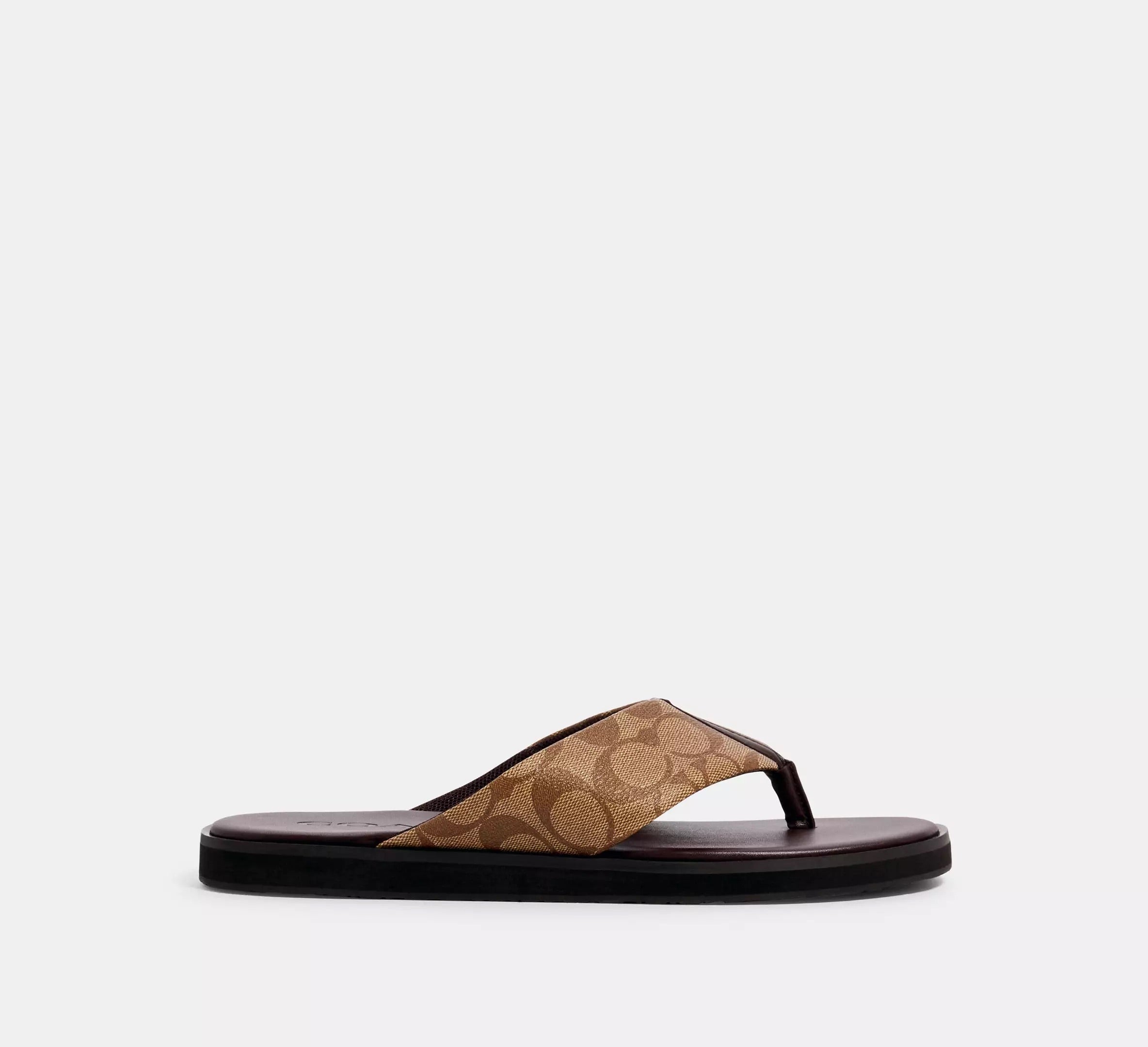 Flip Flop In Signature Canvas Khakhi Size 7