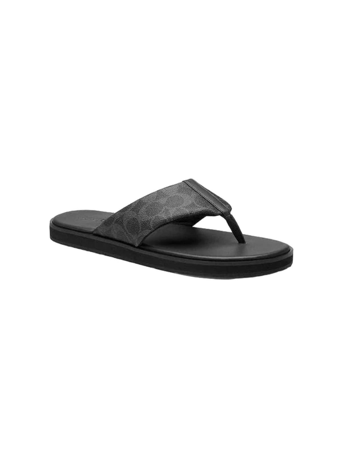 Flip Flop In Signature Canvas