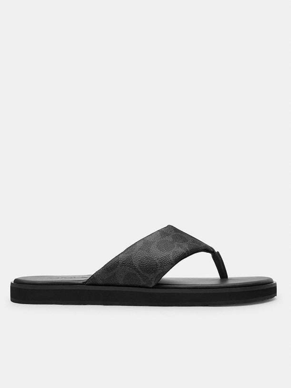 Flip Flop In Signature Canvas