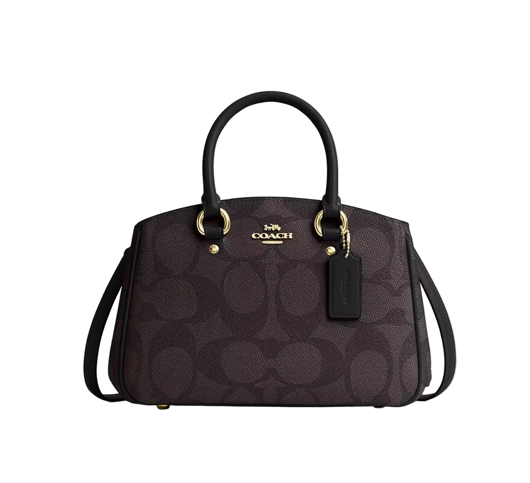 Savannah Small Carryall Bag In Signature Canvas