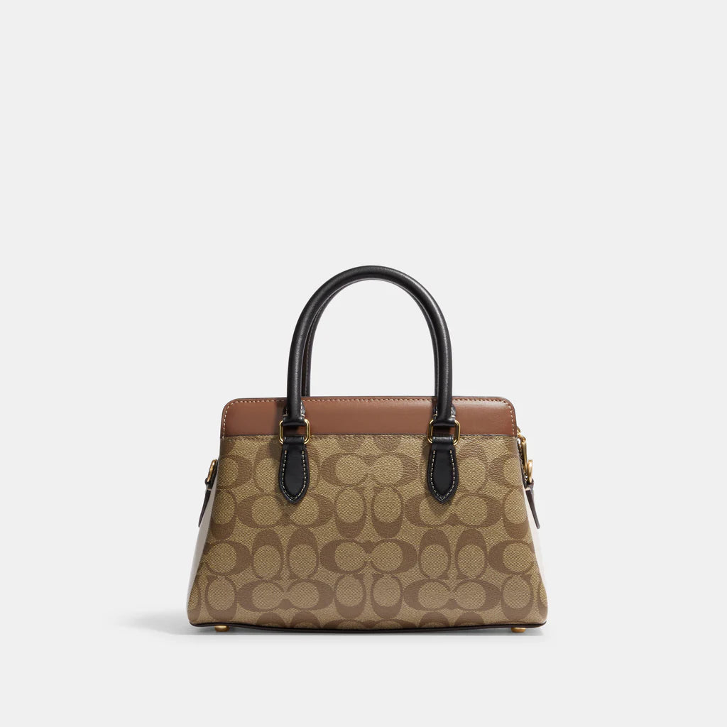 Mini Darcie Carryall Bag In Colorblock Signature Canvas