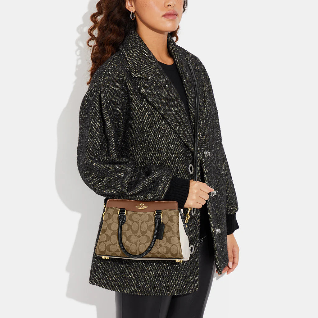 Mini Darcie Carryall Bag In Colorblock Signature Canvas